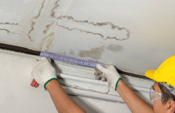Reliable Mold Remediation contractor in Hinckley, ME by Water Damage Irwin